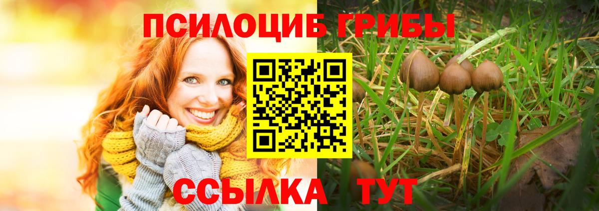Гашиш  Канабис  Магадан  Кокаин  A PVP СОЛЬ кристаллы  Вход с VPN  Меф кристаллы  АМФ  